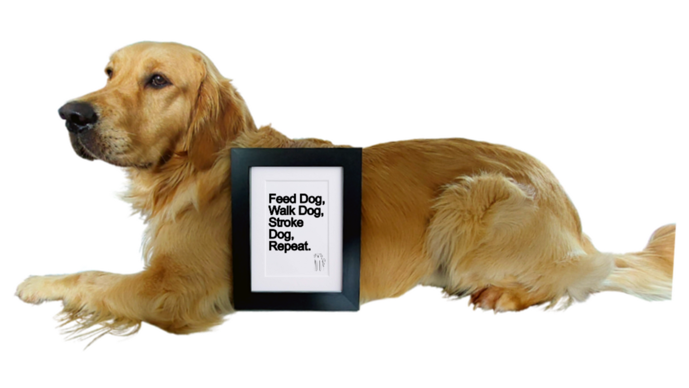 Feed Dog, Walk Dog….. - Framed Print
