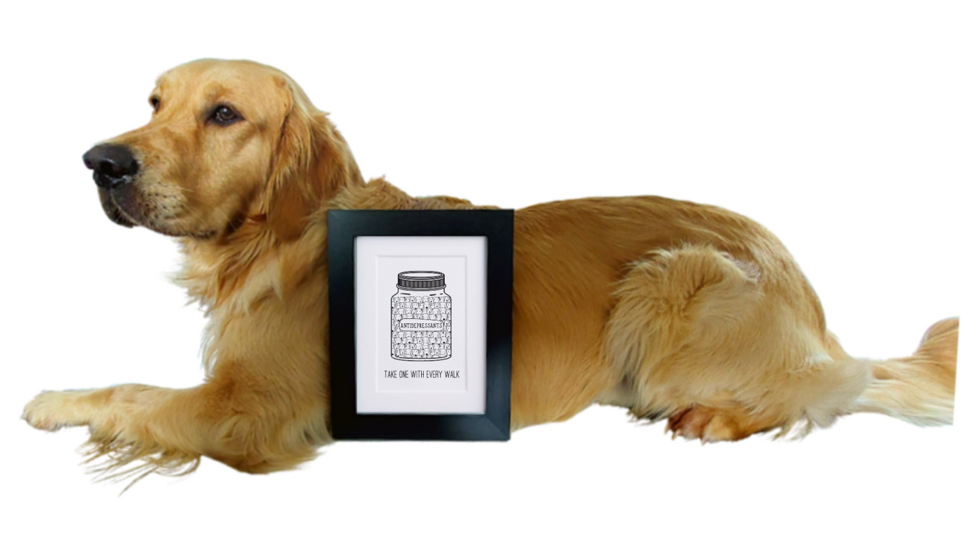 Take One With Every Walk - Framed Print